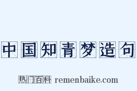中国知青梦造句是什么意思的图片